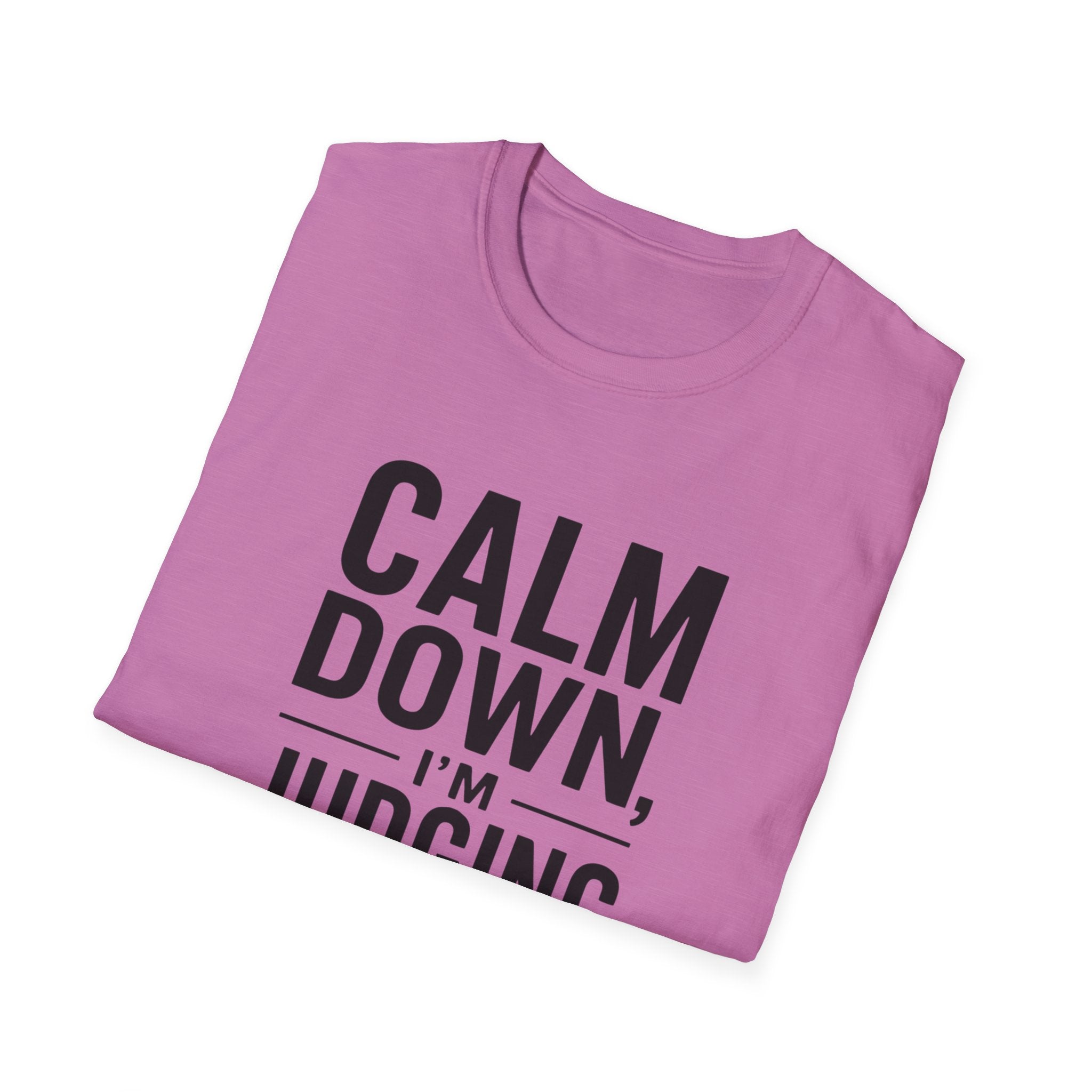 Calm Down, I'm Judging Quietly T-Shirt