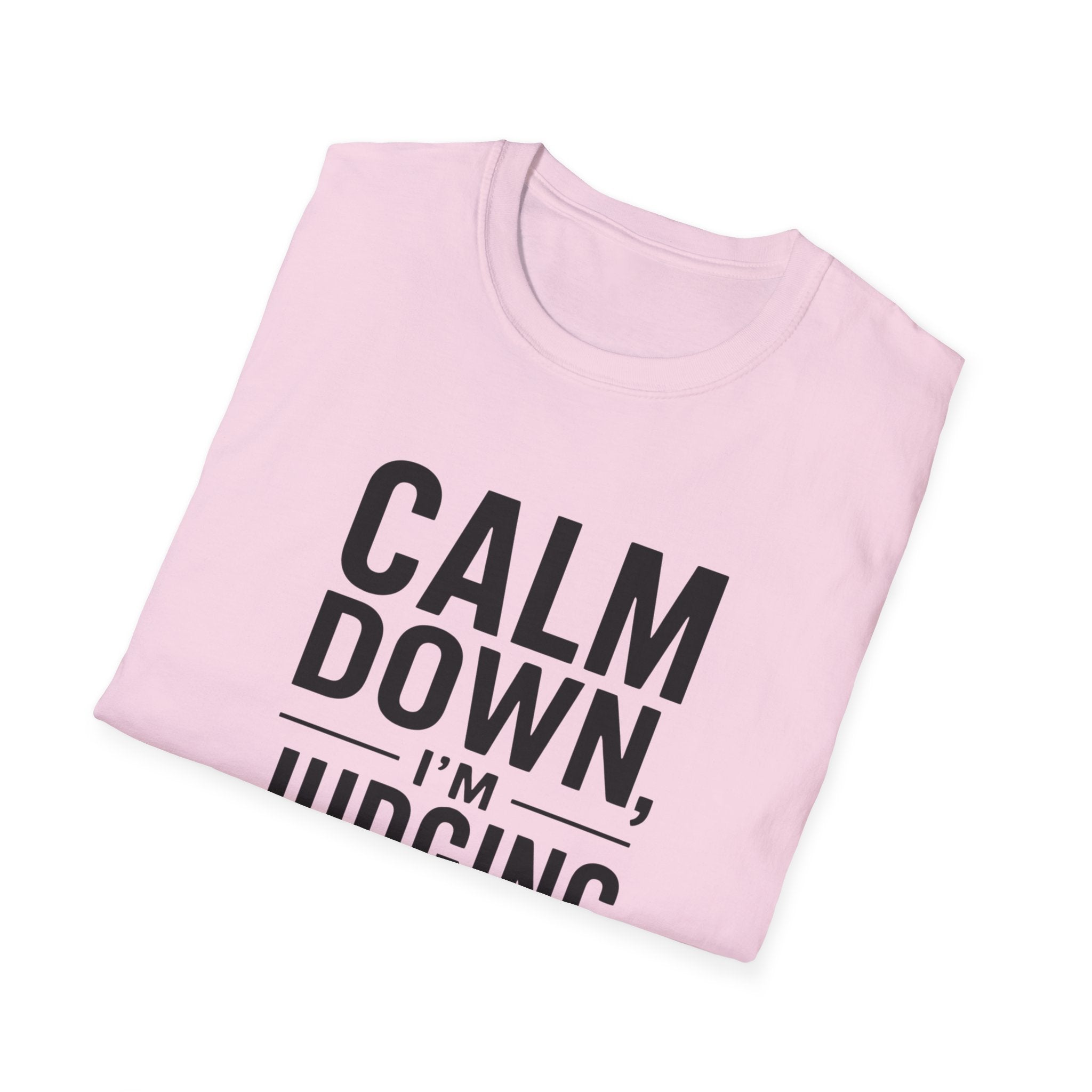 Calm Down, I'm Judging Quietly T-Shirt