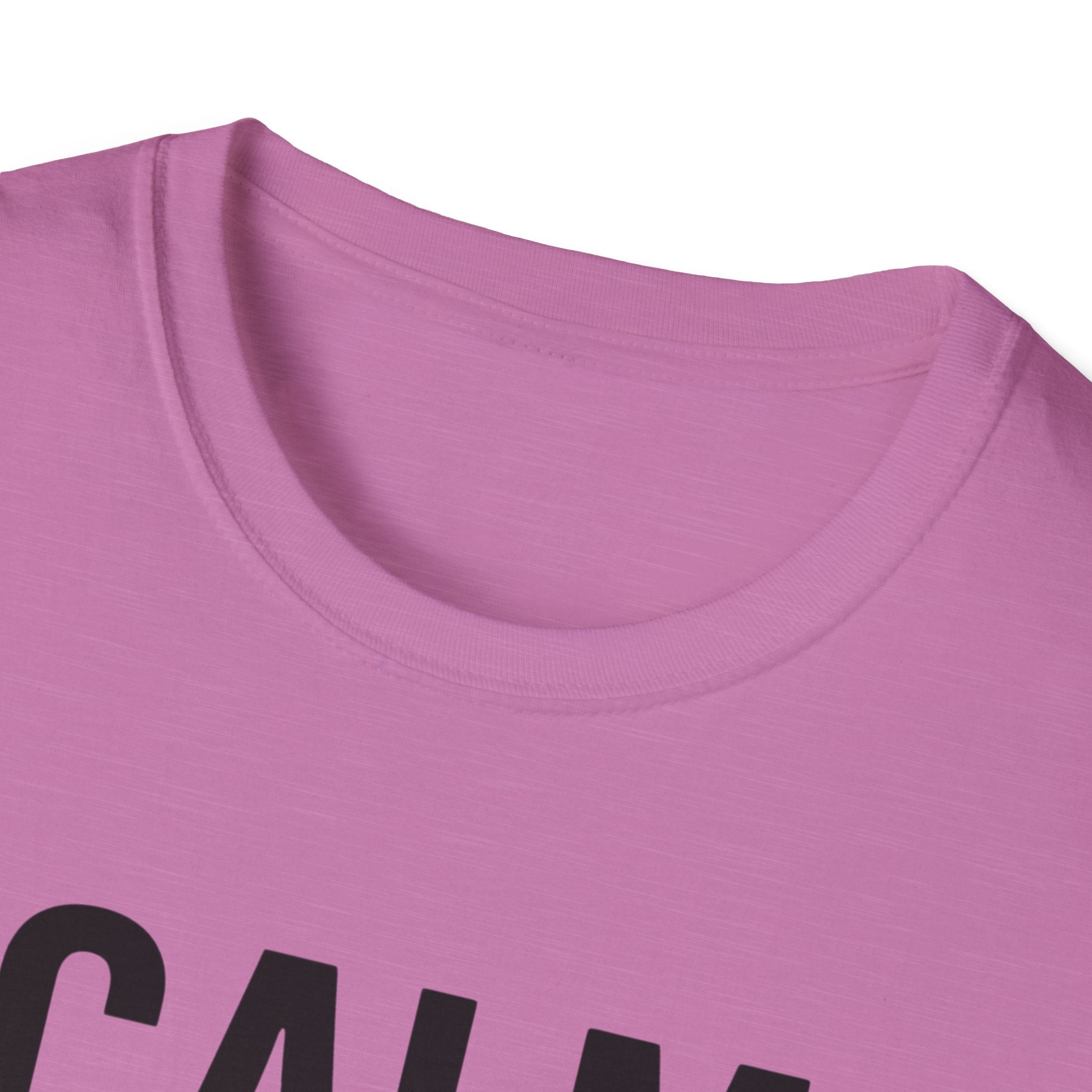 Calm Down, I'm Judging Quietly T-Shirt