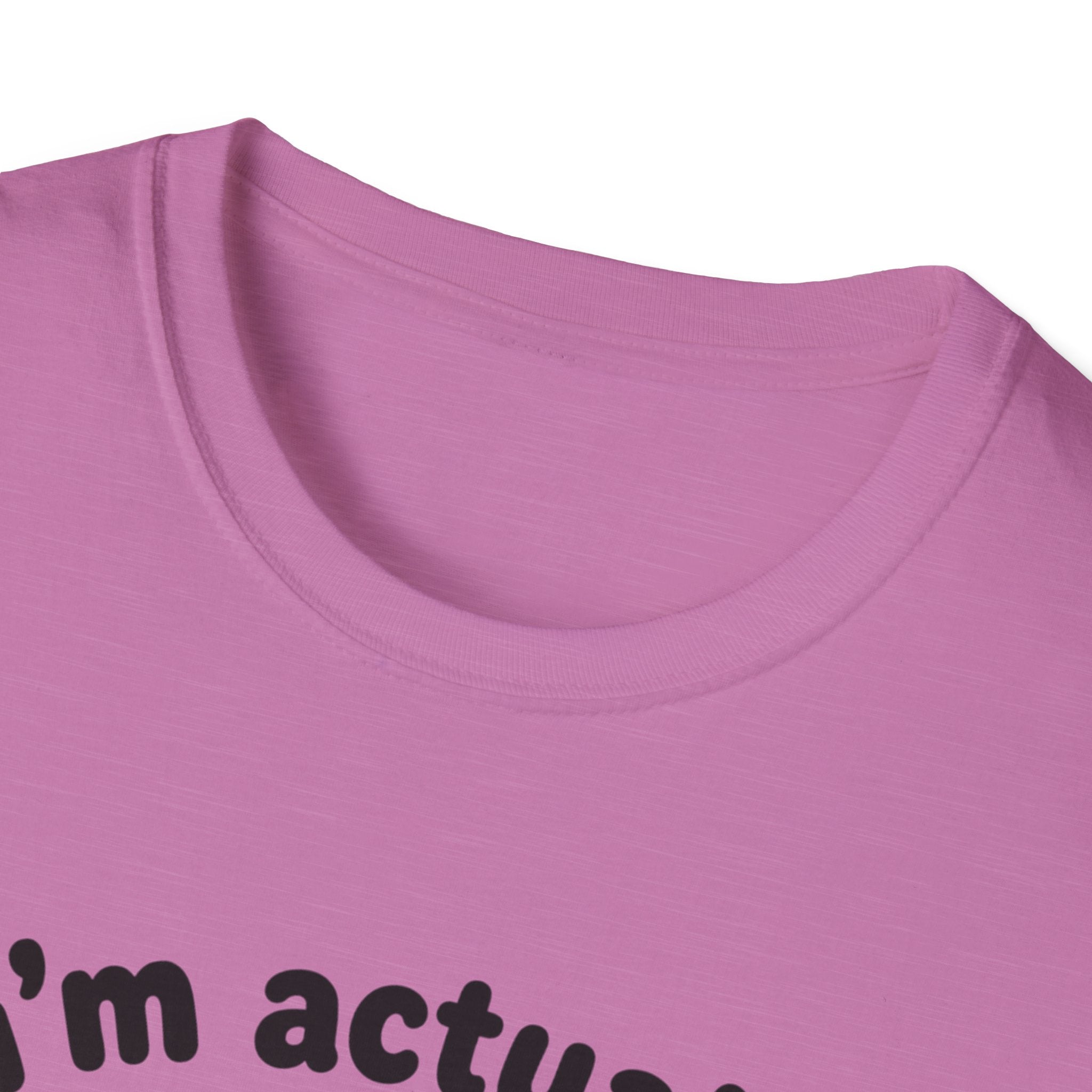 Actually Very Nice T-Shirt