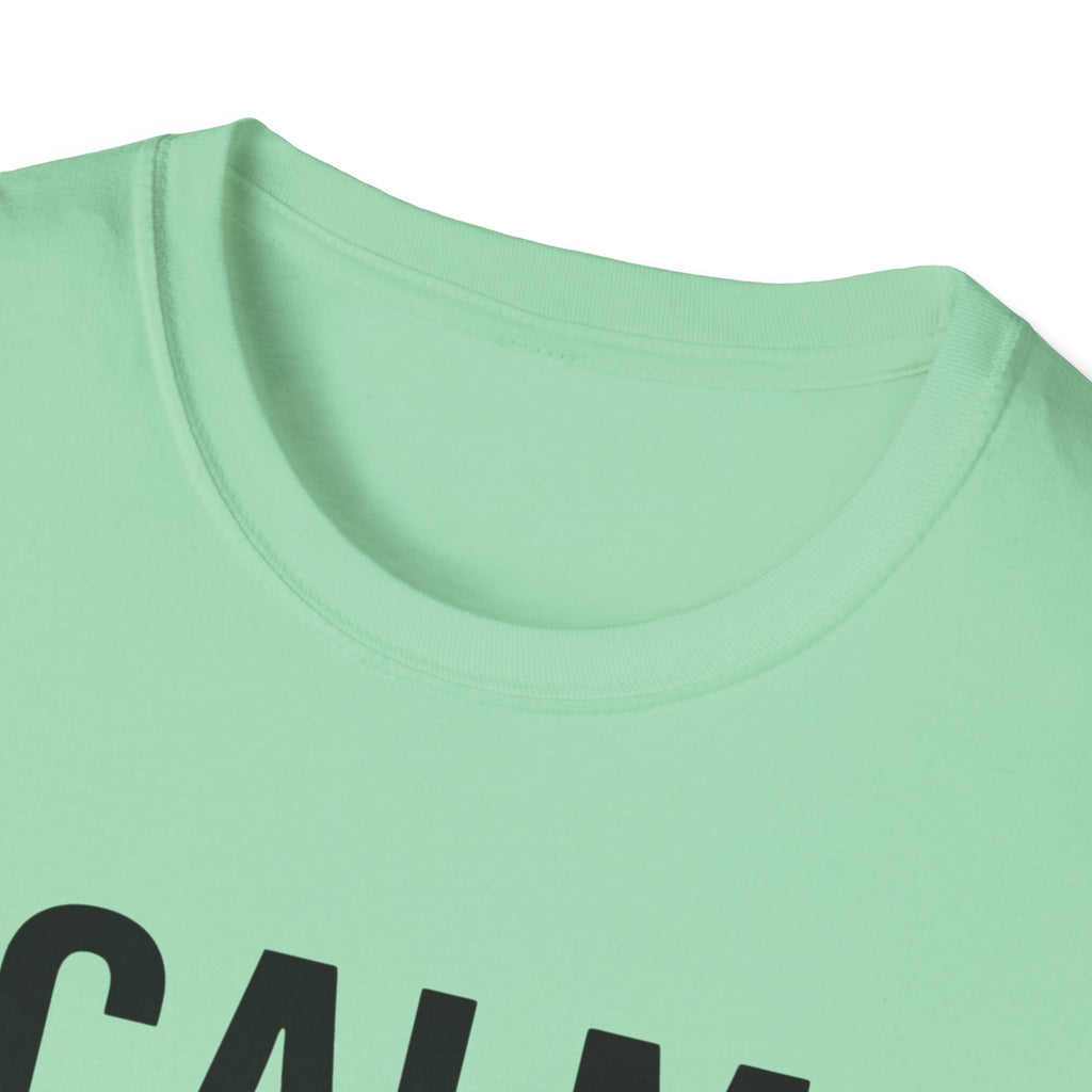 Calm Down, I'm Judging Quietly T-Shirt