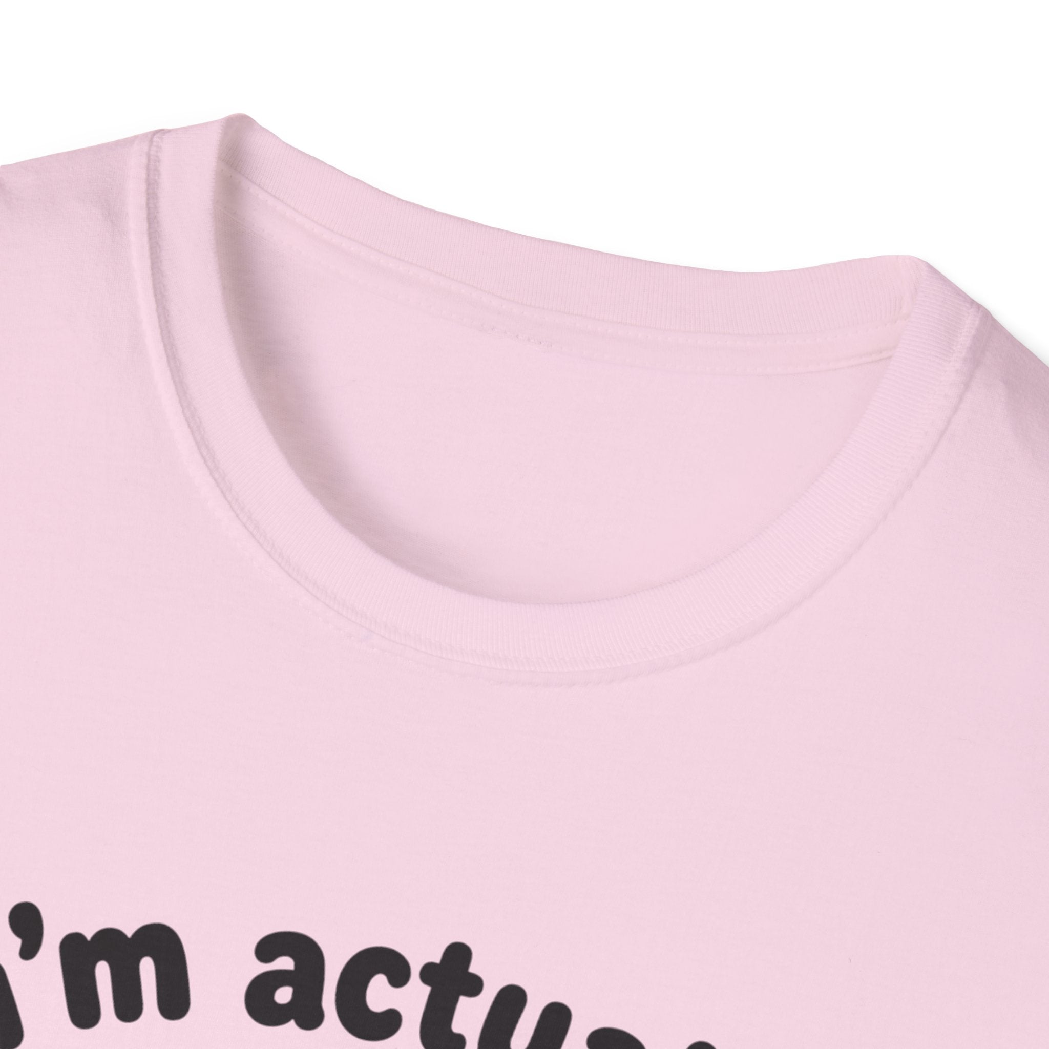 Actually Very Nice T-Shirt