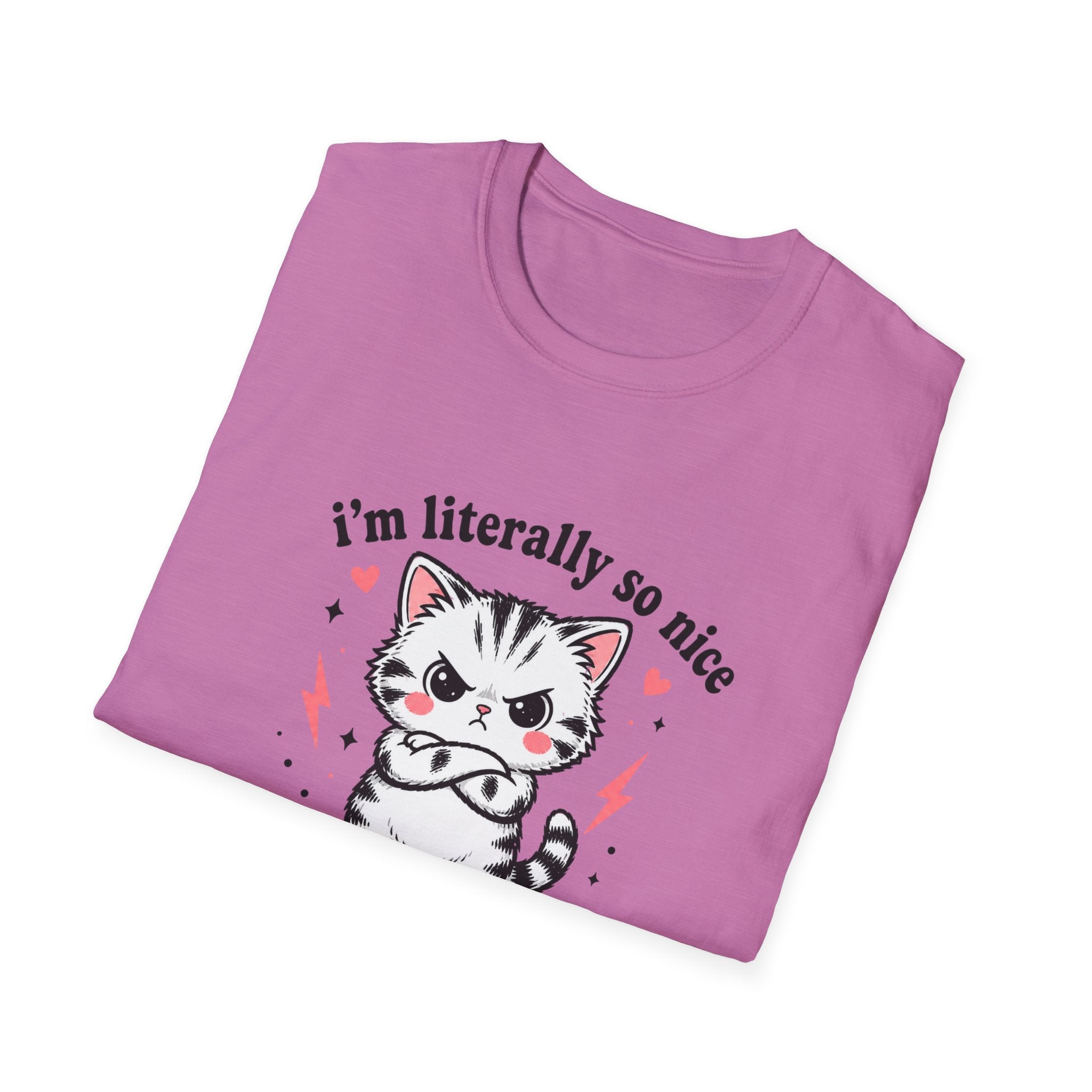 I'm Literally So Nice T-Shirt
